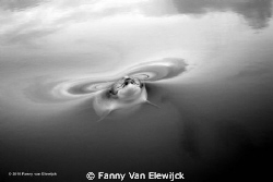 This picture was taken in the early morning during a sail... by Fanny Van Elewijck 